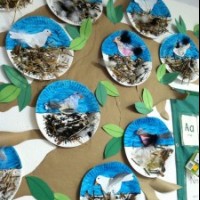 Artık Materyaller,Proje Çalişması, Sınıf Süsleme ,Kapı Süsü, Sayı Birleştirme,Arı Çalişması ,Balık  ,Kuş ,Baykuş,Maymun ,Kurbağa  Çalişması(1336)