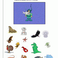 Artık Materyaller,Proje Çalişması, Sınıf Süsleme ,Kapı Süsü, Sayı Birleştirme,Arı Çalişması ,Balık  ,Kuş ,Baykuş,Maymun ,Kurbağa  Çalişması(1342)