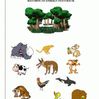 Artık Materyaller,Proje Çalişması, Sınıf Süsleme ,Kapı Süsü, Sayı Birleştirme,Arı Çalişması ,Balık  ,Kuş ,Baykuş,Maymun ,Kurbağa  Çalişması(1344)