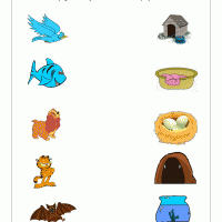 Artık Materyaller,Proje Çalişması, Sınıf Süsleme ,Kapı Süsü, Sayı Birleştirme,Arı Çalişması ,Balık  ,Kuş ,Baykuş,Maymun ,Kurbağa  Çalişması(1346)