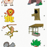 Artık Materyaller,Proje Çalişması, Sınıf Süsleme ,Kapı Süsü, Sayı Birleştirme,Arı Çalişması ,Balık  ,Kuş ,Baykuş,Maymun ,Kurbağa  Çalişması(1352)