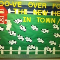 Artık Materyaller,Proje Çalişması, Sınıf Süsleme ,Kapı Süsü, Sayı Birleştirme,Arı Çalişması ,Balık  ,Kuş ,Baykuş,Maymun ,Kurbağa  Çalişması(1360)