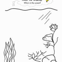 Artık Materyaller,Proje Çalişması, Sınıf Süsleme ,Kapı Süsü, Sayı Birleştirme,Arı Çalişması ,Balık  ,Kuş ,Baykuş,Maymun ,Kurbağa  Çalişması(1360)