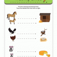 Artık Materyaller,Proje Çalişması, Sınıf Süsleme ,Kapı Süsü, Sayı Birleştirme,Arı Çalişması ,Balık  ,Kuş ,Baykuş,Maymun ,Kurbağa  Çalişması(1371)