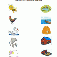 Artık Materyaller,Proje Çalişması, Sınıf Süsleme ,Kapı Süsü, Sayı Birleştirme,Arı Çalişması ,Balık  ,Kuş ,Baykuş,Maymun ,Kurbağa  Çalişması(1374)