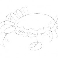 Artık Materyaller,Proje Çalişması, Sınıf Süsleme ,Kapı Süsü, Sayı Birleştirme,Arı Çalişması ,Balık  ,Kuş ,Baykuş,Maymun ,Kurbağa  Çalişması(1465)