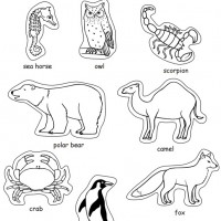 Artık Materyaller,Proje Çalişması, Sınıf Süsleme ,Kapı Süsü, Sayı Birleştirme,Arı Çalişması ,Balık  ,Kuş ,Baykuş,Maymun ,Kurbağa  Çalişması(1480)