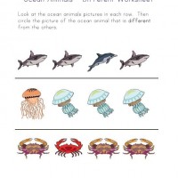 Artık Materyaller,Proje Çalişması, Sınıf Süsleme ,Kapı Süsü, Sayı Birleştirme,Arı Çalişması ,Balık  ,Kuş ,Baykuş,Maymun ,Kurbağa  Çalişması(1488)