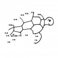 Artık Materyaller,Proje Çalişması, Sınıf Süsleme ,Kapı Süsü, Sayı Birleştirme,Arı Çalişması ,Balık  ,Kuş ,Baykuş,Maymun ,Kurbağa  Çalişması(1510)