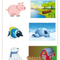 Artık Materyaller,Proje Çalişması, Sınıf Süsleme ,Kapı Süsü, Sayı Birleştirme,Arı Çalişması ,Balık  ,Kuş ,Baykuş,Maymun ,Kurbağa  Çalişması(1601)