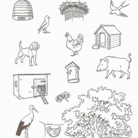 Artık Materyaller,Proje Çalişması, Sınıf Süsleme ,Kapı Süsü, Sayı Birleştirme,Arı Çalişması ,Balık  ,Kuş ,Baykuş,Maymun ,Kurbağa  Çalişması(1602)