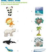 Artık Materyaller,Proje Çalişması, Sınıf Süsleme ,Kapı Süsü, Sayı Birleştirme,Arı Çalişması ,Balık  ,Kuş ,Baykuş,Maymun ,Kurbağa  Çalişması(1603)