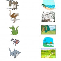 Artık Materyaller,Proje Çalişması, Sınıf Süsleme ,Kapı Süsü, Sayı Birleştirme,Arı Çalişması ,Balık  ,Kuş ,Baykuş,Maymun ,Kurbağa  Çalişması(1643)