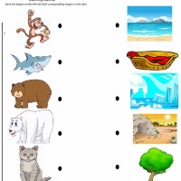 Artık Materyaller,Proje Çalişması, Sınıf Süsleme ,Kapı Süsü, Sayı Birleştirme,Arı Çalişması ,Balık  ,Kuş ,Baykuş,Maymun ,Kurbağa  Çalişması(1647)