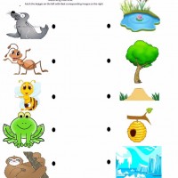 Artık Materyaller,Proje Çalişması, Sınıf Süsleme ,Kapı Süsü, Sayı Birleştirme,Arı Çalişması ,Balık  ,Kuş ,Baykuş,Maymun ,Kurbağa  Çalişması(1650)