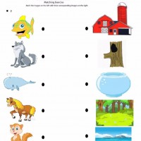 Artık Materyaller,Proje Çalişması, Sınıf Süsleme ,Kapı Süsü, Sayı Birleştirme,Arı Çalişması ,Balık  ,Kuş ,Baykuş,Maymun ,Kurbağa  Çalişması(1651)