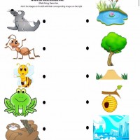 Artık Materyaller,Proje Çalişması, Sınıf Süsleme ,Kapı Süsü, Sayı Birleştirme,Arı Çalişması ,Balık  ,Kuş ,Baykuş,Maymun ,Kurbağa  Çalişması(1653)