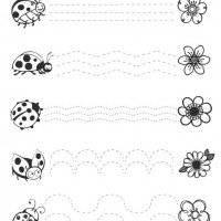 Artık Materyaller,Proje Çalişması, Sınıf Süsleme ,Kapı Süsü, Sayı Birleştirme,Arı Çalişması ,Balık  ,Kuş ,Baykuş,Maymun ,Kurbağa  Çalişması(1750)