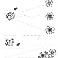 Artık Materyaller,Proje Çalişması, Sınıf Süsleme ,Kapı Süsü, Sayı Birleştirme,Arı Çalişması ,Balık  ,Kuş ,Baykuş,Maymun ,Kurbağa  Çalişması(1751)