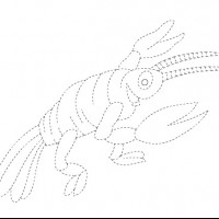 Artık Materyaller,Proje Çalişması, Sınıf Süsleme ,Kapı Süsü, Sayı Birleştirme,Arı Çalişması ,Balık  ,Kuş ,Baykuş,Maymun ,Kurbağa  Çalişması(1764)