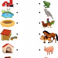 Artık Materyaller,Proje Çalişması, Sınıf Süsleme ,Kapı Süsü, Sayı Birleştirme,Arı Çalişması ,Balık  ,Kuş ,Baykuş,Maymun ,Kurbağa  Çalişması(1768)