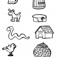 Artık Materyaller,Proje Çalişması, Sınıf Süsleme ,Kapı Süsü, Sayı Birleştirme,Arı Çalişması ,Balık  ,Kuş ,Baykuş,Maymun ,Kurbağa  Çalişması(1772)