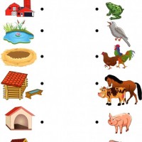 Artık Materyaller,Proje Çalişması, Sınıf Süsleme ,Kapı Süsü, Sayı Birleştirme,Arı Çalişması ,Balık  ,Kuş ,Baykuş,Maymun ,Kurbağa  Çalişması(1773)