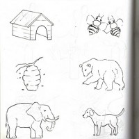 Artık Materyaller,Proje Çalişması, Sınıf Süsleme ,Kapı Süsü, Sayı Birleştirme,Arı Çalişması ,Balık  ,Kuş ,Baykuş,Maymun ,Kurbağa  Çalişması(1775)