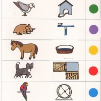 Artık Materyaller,Proje Çalişması, Sınıf Süsleme ,Kapı Süsü, Sayı Birleştirme,Arı Çalişması ,Balık  ,Kuş ,Baykuş,Maymun ,Kurbağa  Çalişması(1777)