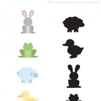 Artık Materyaller,Proje Çalişması, Sınıf Süsleme ,Kapı Süsü, Sayı Birleştirme,Arı Çalişması ,Balık  ,Kuş ,Baykuş,Maymun ,Kurbağa  Çalişması(1779)