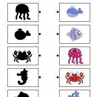 Artık Materyaller,Proje Çalişması, Sınıf Süsleme ,Kapı Süsü, Sayı Birleştirme,Arı Çalişması ,Balık  ,Kuş ,Baykuş,Maymun ,Kurbağa  Çalişması(1782)