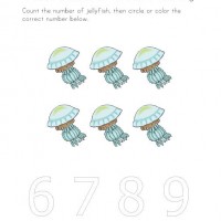 Artık Materyaller,Proje Çalişması, Sınıf Süsleme ,Kapı Süsü, Sayı Birleştirme,Arı Çalişması ,Balık  ,Kuş ,Baykuş,Maymun ,Kurbağa  Çalişması(1813)