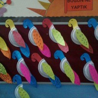 Artık Materyaller,Proje Çalişması, Sınıf Süsleme ,Kapı Süsü, Sayı Birleştirme,Arı Çalişması ,Balık  ,Kuş ,Baykuş,Maymun ,Kurbağa  Çalişması(1971)