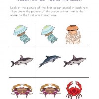 Artık Materyaller,Proje Çalişması, Sınıf Süsleme ,Kapı Süsü, Sayı Birleştirme,Arı Çalişması ,Balık  ,Kuş ,Baykuş,Maymun ,Kurbağa  Çalişması(2037)