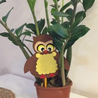 baykuş  sanat etkinliği