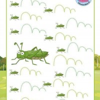 çizgi çalışması