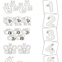 eşleştirme ve gölgeleme çalışması