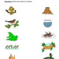 eşleştirme ve gölgesini bulma 