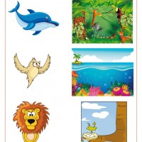 eşleştirme ve gölgesini bulma 