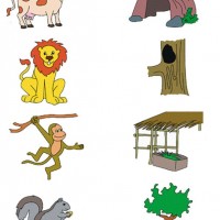 eşleştirme ve gölgesini bulma 