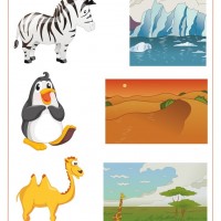 eşleştirme ve gölgeleme çalışması