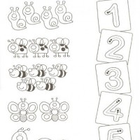 eşleştirme ve gölgeleme çalışması