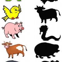 eşleştirme ve gölgesini bulma 