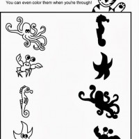 eşleştirme ve gölgesini bulma 