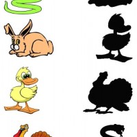 eşleştirme ve gölgesini bulma 