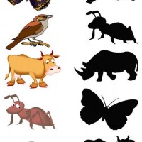 eşleştirme ve gölgeleme çalışması