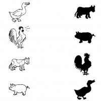 eşleştirme ve gölgesini bulma 