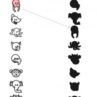 eşleştirme ve gölgeleme çalışması