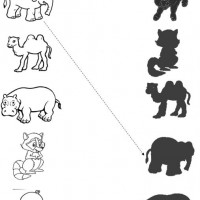 eşleştirme ve gölgesini bulma 