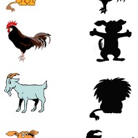 eşleştirme ve gölgesini bulma 